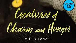 Read <i>Creatures of Charm and Hunger</i>: Chapter 14